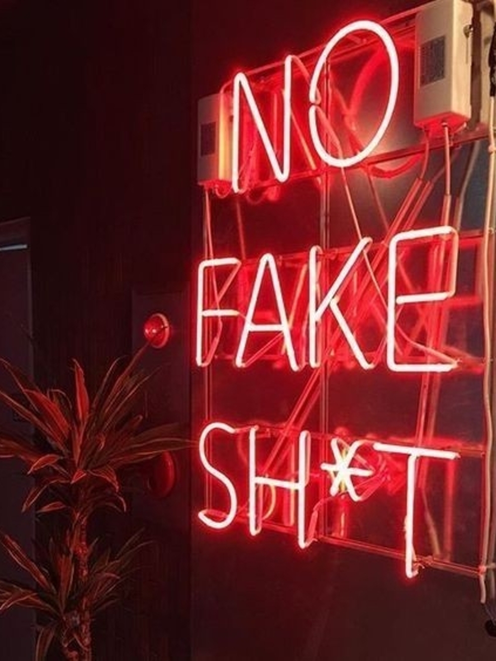 NO FAKE SH*T